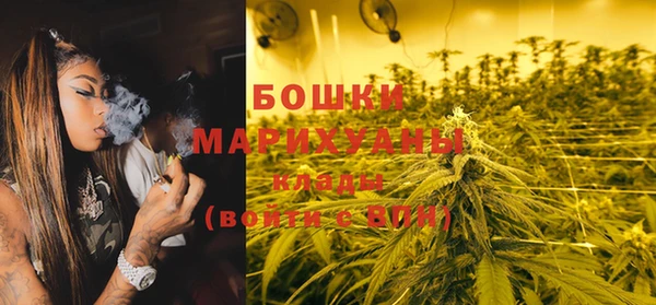 ГАЛЛЮЦИНОГЕННЫЕ ГРИБЫ Богданович
