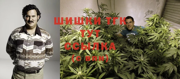 mix Богородицк
