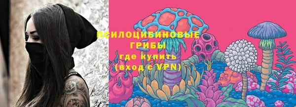 МДПВ Чегем