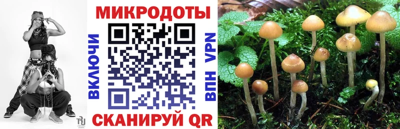 Псилоцибиновые грибы MAGIC MUSHROOMS  где купить   Когалым 
